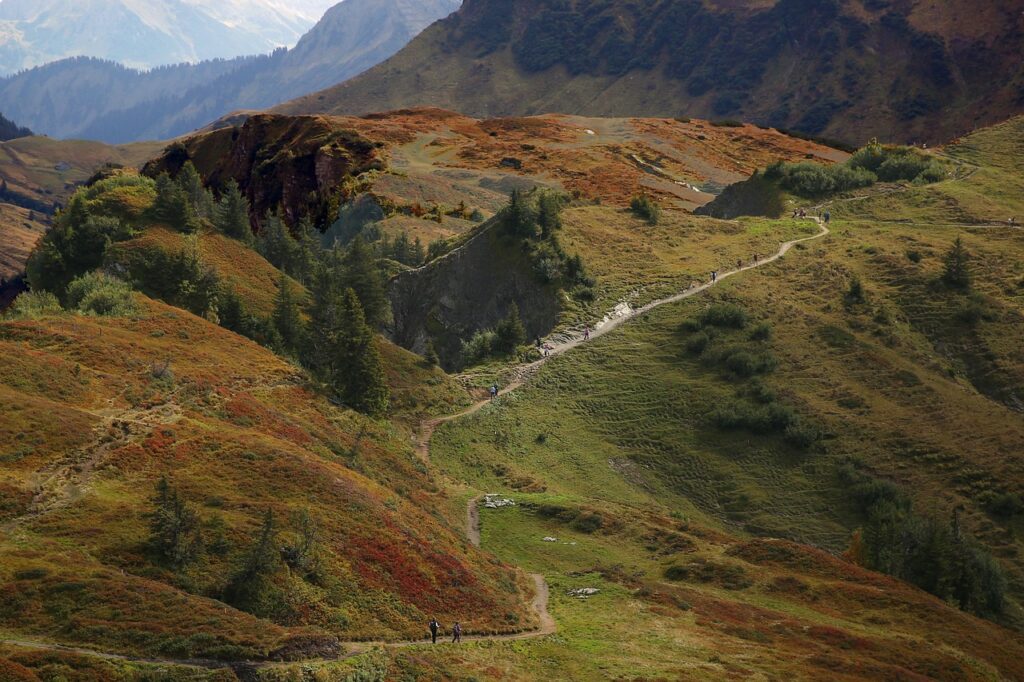 The enchanting tour of Olympic National Park