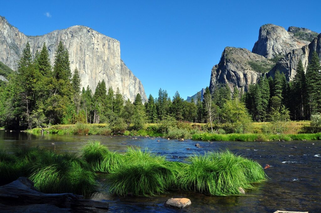 Visit the magnificent Yosemite National Park