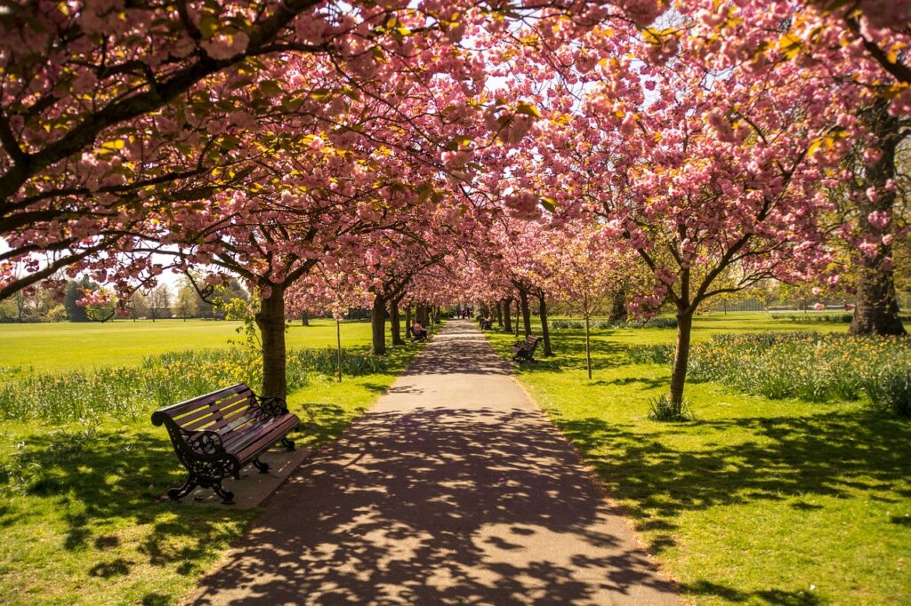 Hyde Park and Speaker Corner