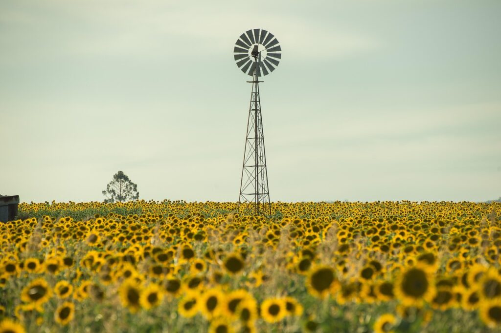 Public Gardening Rules and Etiquette in Australia: Do's and Don'ts